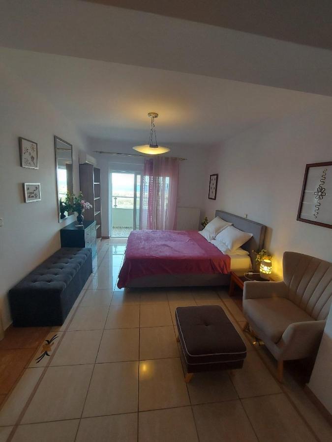 Artemis Luxury Villa *