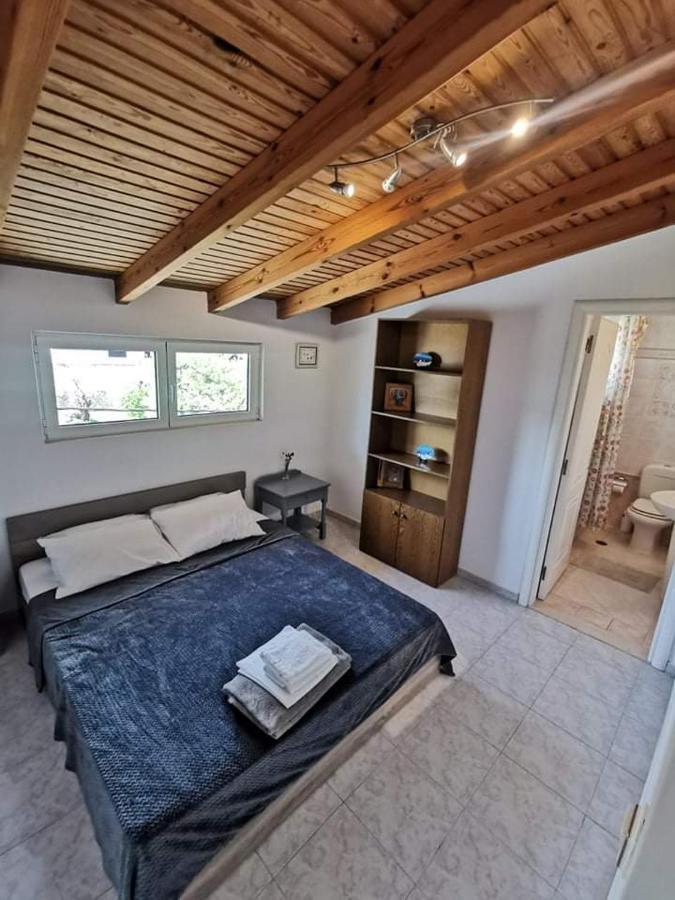 Artemis Luxury Villa *